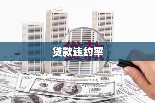 界首贷款违约率