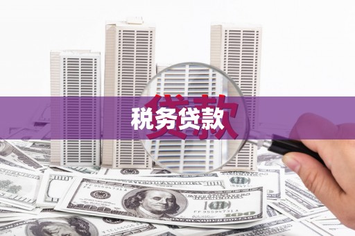 界首税务贷款