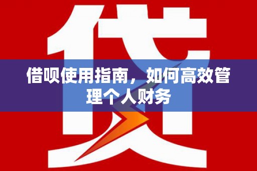 界首借呗使用指南，如何高效管理个人财务