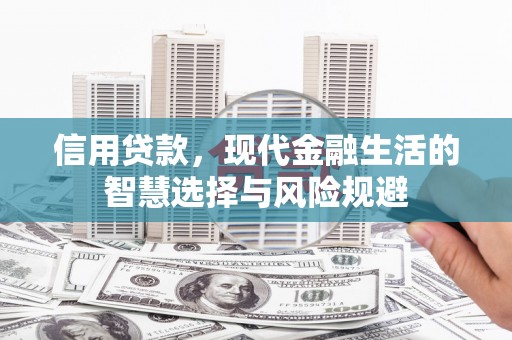 界首信用贷款，现代金融生活的智慧选择与风险规避