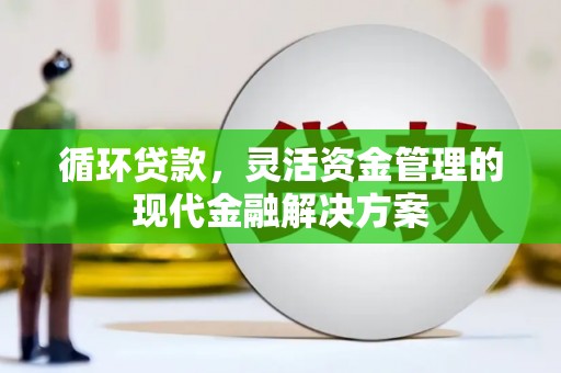 界首循环贷款，灵活资金管理的现代金融解决方案