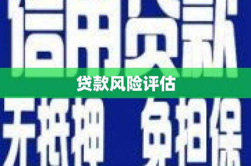 界首贷款风险评估