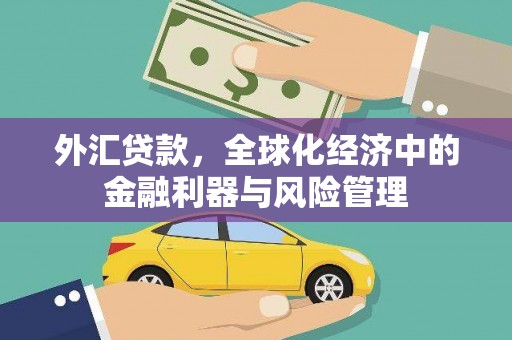 界首外汇贷款，全球化经济中的金融利器与风险管理