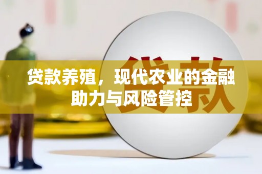 界首贷款养殖，现代农业的金融助力与风险管控