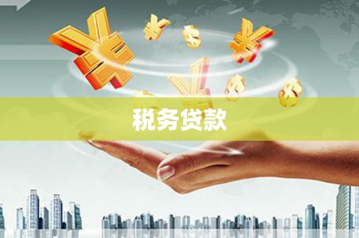 界首税务贷款