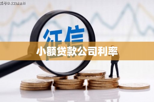 界首小额贷款公司利率