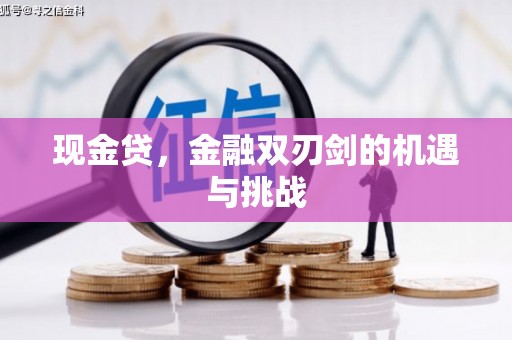 界首现金贷，金融双刃剑的机遇与挑战