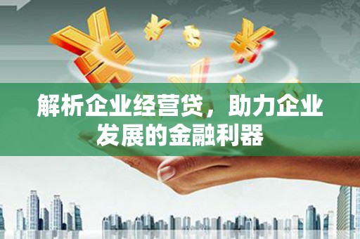 界首解析企业经营贷，助力企业发展的金融利器