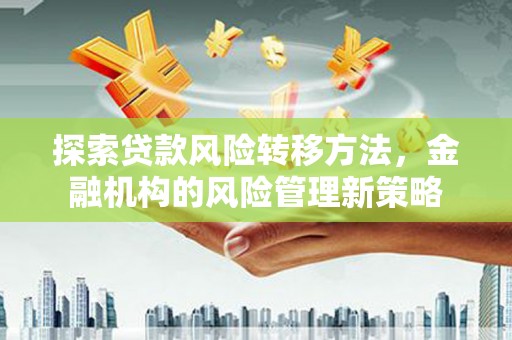 界首探索贷款风险转移方法，金融机构的风险管理新策略