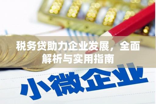 界首税务贷助力企业发展，全面解析与实用指南