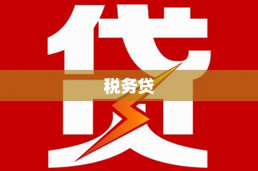 界首税务贷