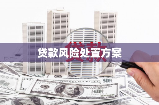 界首贷款风险处置方案