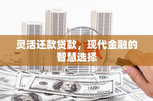 界首灵活还款贷款，现代金融的智慧选择