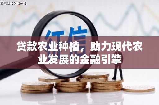 界首贷款农业种植，助力现代农业发展的金融引擎