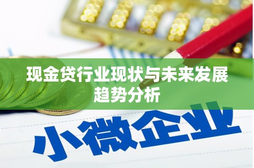 界首现金贷行业现状与未来发展趋势分析