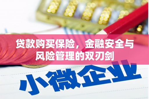 界首贷款购买保险，金融安全与风险管理的双刃剑