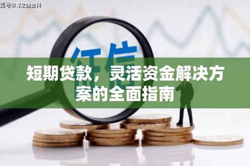 界首短期贷款，灵活资金解决方案的全面指南