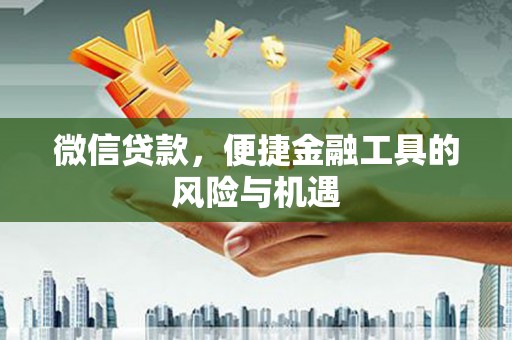界首微信贷款，便捷金融工具的风险与机遇