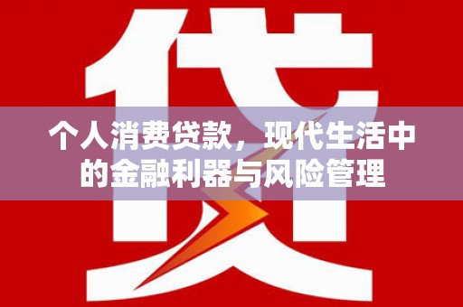 界首个人消费贷款，现代生活中的金融利器与风险管理