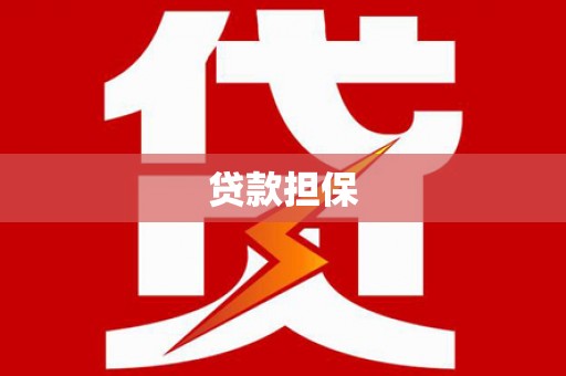 界首贷款担保