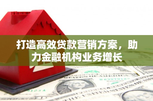 界首打造高效贷款营销方案，助力金融机构业务增长