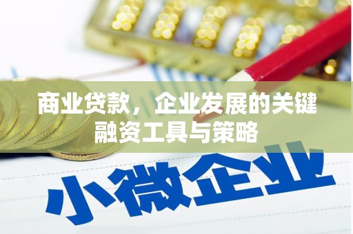 界首商业贷款，企业发展的关键融资工具与策略