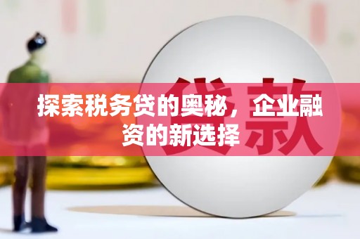 界首探索税务贷的奥秘，企业融资的新选择