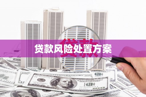 界首贷款风险处置方案