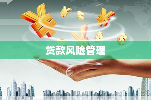 界首贷款风险管理