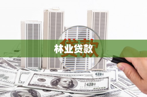 界首林业贷款