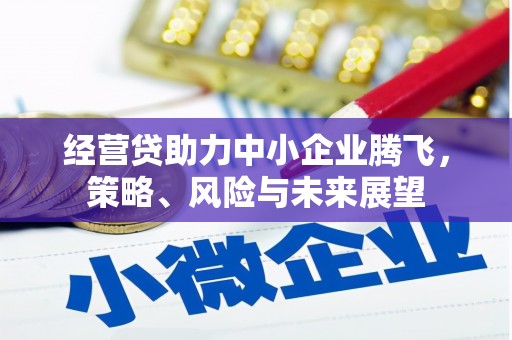 界首经营贷助力中小企业腾飞，策略、风险与未来展望