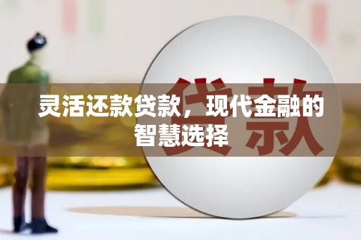 界首灵活还款贷款，现代金融的智慧选择