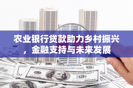 界首农业银行贷款助力乡村振兴，金融支持与未来发展