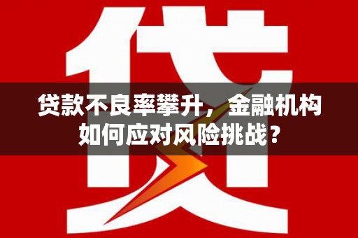 界首贷款不良率攀升，金融机构如何应对风险挑战？