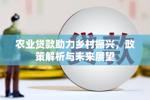 界首农业贷款助力乡村振兴，政策解析与未来展望