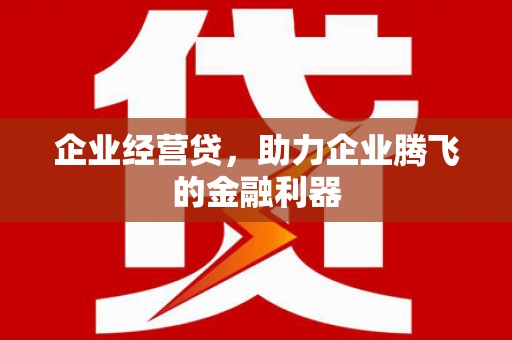 界首企业经营贷，助力企业腾飞的金融利器