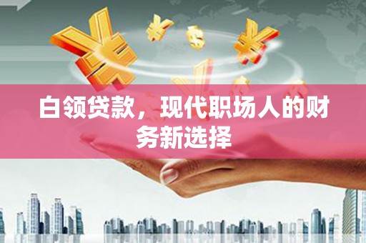 界首白领贷款，现代职场人的财务新选择