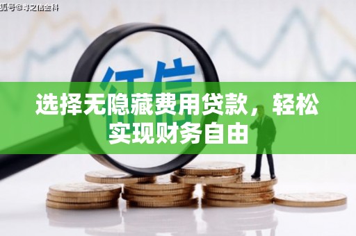 界首选择无隐藏费用贷款，轻松实现财务自由