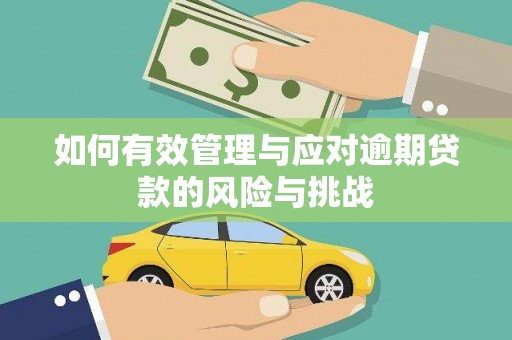 界首如何有效管理与应对逾期贷款的风险与挑战