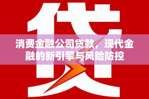 界首消费金融公司贷款，现代金融的新引擎与风险防控