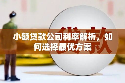 界首小额贷款公司利率解析，如何选择最优方案