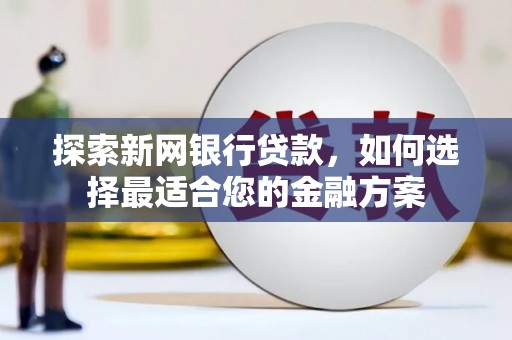 界首探索新网银行贷款，如何选择最适合您的金融方案