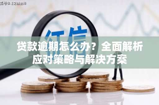 界首贷款逾期怎么办？全面解析应对策略与解决方案