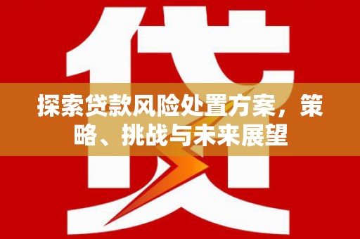 界首探索贷款风险处置方案，策略、挑战与未来展望