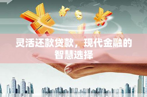 界首灵活还款贷款，现代金融的智慧选择