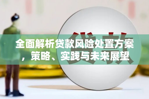 界首全面解析贷款风险处置方案，策略、实践与未来展望