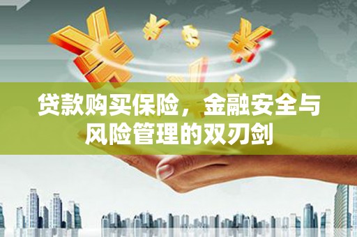 界首贷款购买保险，金融安全与风险管理的双刃剑