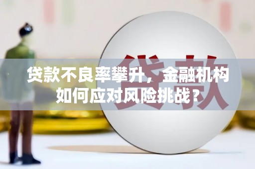 界首贷款不良率攀升，金融机构如何应对风险挑战？
