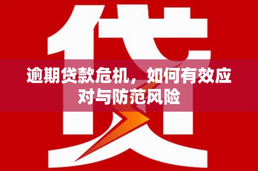 界首逾期贷款危机，如何有效应对与防范风险