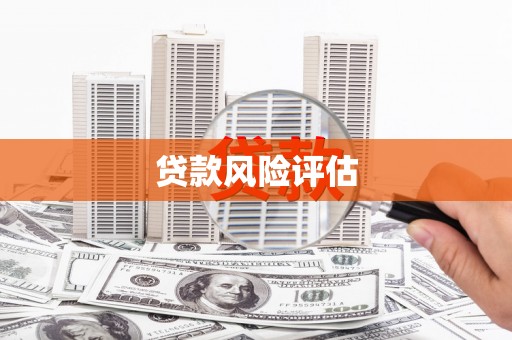 界首贷款风险评估